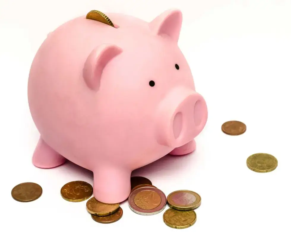 Image of a piggy bank